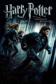 Harry Potter and the Deathly Hallows: Part 1 | Harry Potter 7 (2010) Hindi + English – Full Movie Download & Watch FREE – .