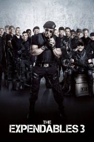 The Expendables 3 (2014) BluRay Dual Audio Hindi English – Full Movie Download & Watch FREE – .