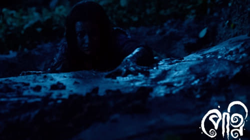 Petni: 1×1