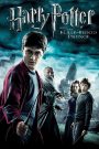Harry Potter and the Half-Blood Prince | Harry Potter 6 (2009) Hindi + English – Full Movie Download & Watch FREE – .