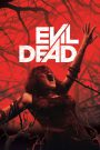 Evil Dead (2013) Dual Audio Hindi + English – Full Movie Download & Watch FREE – .