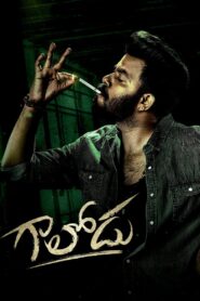 Gaalodu (2022) Hindi Dual – Full Movie Download & Watch FREE – .