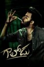 Gaalodu (2022) Hindi Dual – Full Movie Download & Watch FREE – .