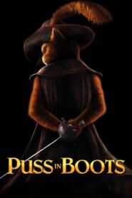 Puss in Boots (2011) Dual Audio (Hindi-Eng) – Full Movie Download & Watch FREE – .
