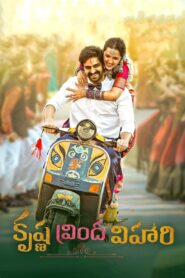 Krishna Vrinda Vihari (2022) Hindi Dual – Full Movie Download & Watch FREE – .
