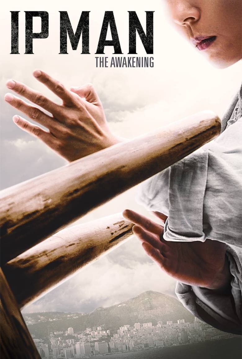 Ip Man: The Awakening (2021) Hindi/English – Full Movie Download & Watch FREE – .