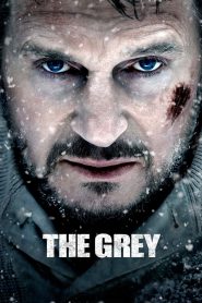 The Grey (2012) – Full Movie Download & Watch FREE – .
