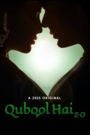 Qubool Hai 2.0 (2021) – Full Series Download & Watch FREE – .