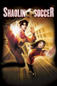 Shaolin Soccer (2001) Dual Audio Hindi Dubbed – Full Movie Download & Watch FREE – .