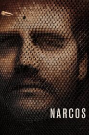 Narcos: Season 2 – Hindi/English