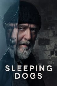 Sleeping Dogs (2024) Hindi + Eanglish – Full Movie Download & Watch FREE – .