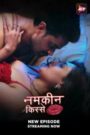 Namkeen Kisse (2024) Season 01 – Episode 01-30 Hindi – 🔞 – Full Series Download & Watch FREE – .