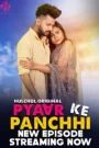 Pyaar Ke Panchi (2024) Season 01 – Hulchul – 🔞 – Full Series Download & Watch FREE – .