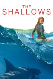 The Shallows (2016) Hindi + English – Full Movie Download & Watch FREE – .