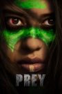 Prey (2022) Hindi + English – Full Movie Download & Watch FREE – .