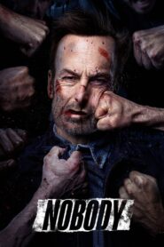 Nobody (2021) Hindi + English – Full Movie Download & Watch FREE – .