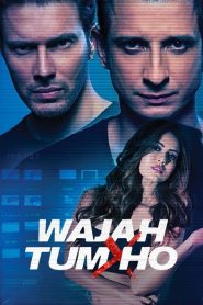 Wajah Tum Ho (2016) – Full Movie Download & Watch FREE – .