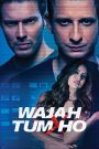 Wajah Tum Ho (2016) – Full Movie Download & Watch FREE – .