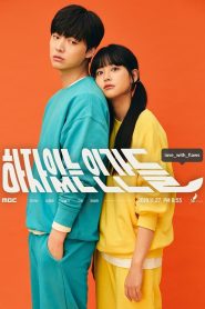 Love with Flaws: Season 1 – Hindi/Korean
