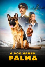 A Dog Named Palma (2021) Russian – Full Movie Download & Watch FREE – .