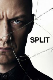 Split (2016) Hindi + English – Full Movie Download & Watch FREE – .
