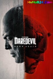 Daredevil: Born Again (2025 – 2026) – Hindi/English – Full Series Download & Watch FREE – .
