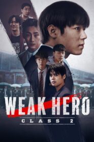 Weak Hero: Season 2 – Hindi/English/Korean
