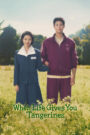 When Life Gives You Tangerines (2025) Season 01 – Dual Audio [Hindi-English] NetFlix WEB-DL – Full Series Download & Watch FREE – .