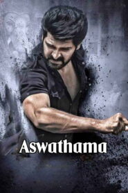 Aswathama (2020) Hindi Dual – Full Movie Download & Watch FREE – .