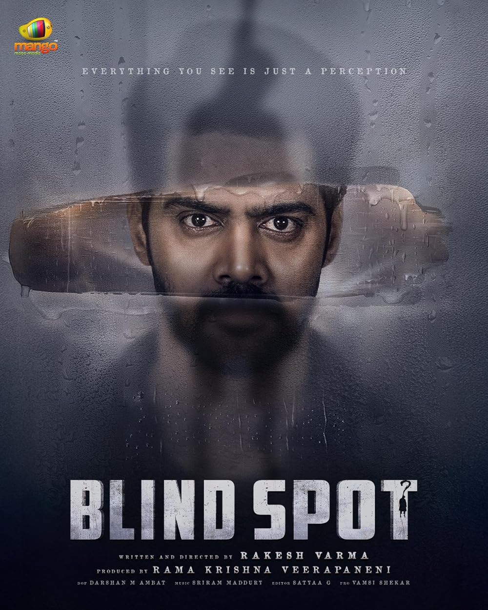 Blind Spot (2025) Tam+Mal+Tel+Kan+Hin – Full Movie Download & Watch FREE – .
