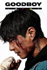 Good Boy (2025) S01 – Ep: 01-16 – Dual Audio [Hindi-Korean] AMZN WEB-DL – Full Series Download & Watch FREE – .