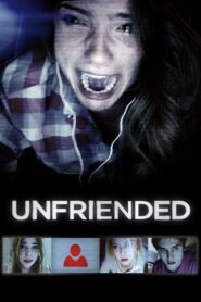 Unfriended (2014) – Hindi/English – WEB-DL H264 AAC 1080p 720p 480p Download & Watch FREE