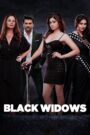 Black Widows (2020) – 🔞 Season 01 – WEB-DL H264 AAC 1080p 720p 480p Download & Watch FREE