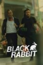 Black Rabbit (2025) Season 01 – Dual [Hindi-English] – WEB-DL H264 AAC 1080p 720p 480p Download & Watch FREE