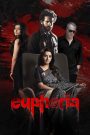 Euphoria (2026) DS4K WEB-DL [Hindi Full Movie Download & Watch Free On — MvHuB24.Com