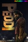 Peddi (2026) (Cleaned) Hindi Full Movie HQ HDTC | 1080p | 720p | 4k Quality — MvHuB24.Com