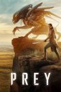 Prey (2022) [ BluRay Hindi + English ] Full Movie Download & Watch Free On — MvHuB24.Com