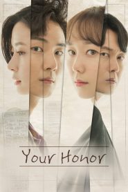 Your Honor (2018) Full Tv Show Download & Watch Free On — MvHuB24.Com