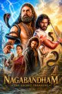 Nagabandham The Secret Treasure (2026) HQ AMZN.WEB-DL Multi Audio 1080p AVC DDP 5.1 — MvHuB24.Com